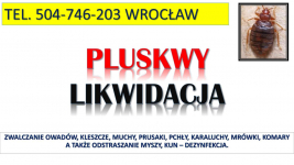 Zwalczanie pluskwy tel 504746203, Wrocław. Pluskwa oprysk, dezynfekcja Psie Pole - zdjęcie 3