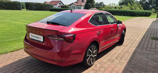 Škoda Octavia SALON PL-STYLE-VIRTUAL-SERWIS Paproć - zdjęcie 8