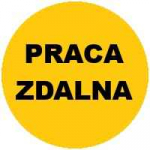 PRACA ZDALNA TYGODNIÓWKI DO 1500zł, ELASTYCZNY GRAFIK