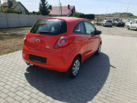 Ford KA 1.2 Beznyna Wspomaganie kierownicy 2009r Raty Zamiana Strobice - zdjęcie 11