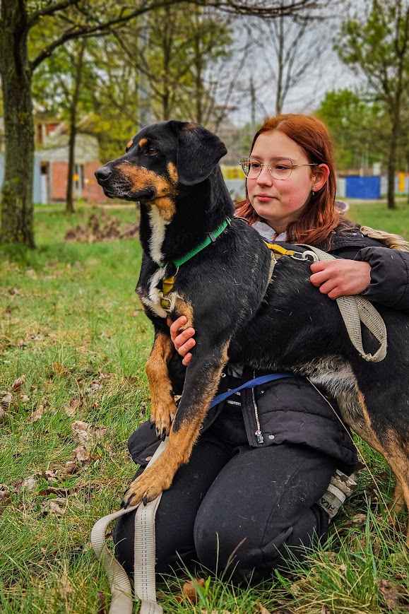 Niesamowicie proludzki, aktywny piesek pilnie szuka domu :( Mokotów - zdjęcie 4