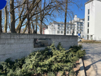JASNA I PRZESTRONNA KAWALERKA Z DWOMA BALKONAMI Stare Miasto - zdjęcie 11