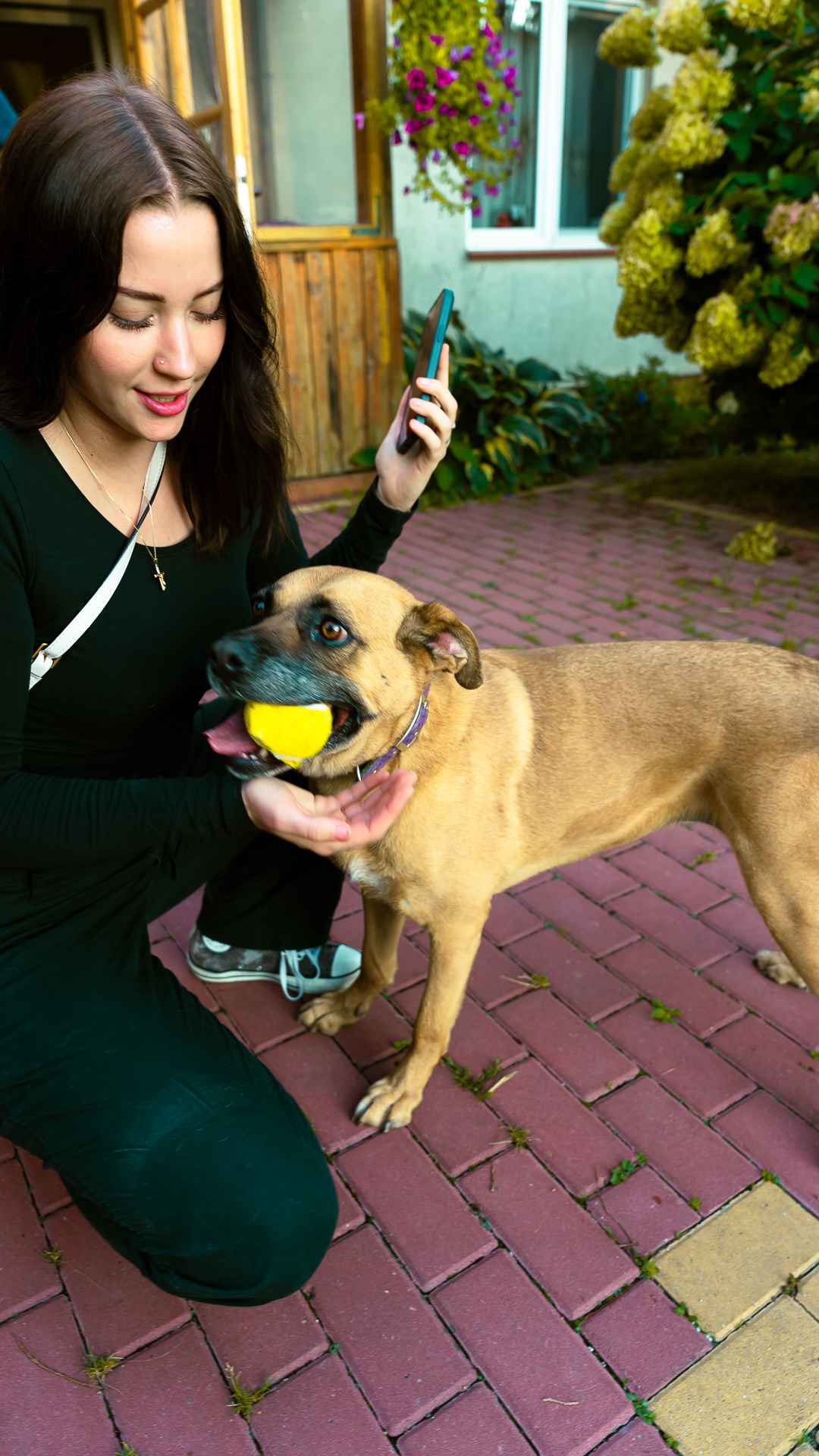 Aza - wesoła, łagodna, rodzinna sunia! Olsztyn - zdjęcie 5