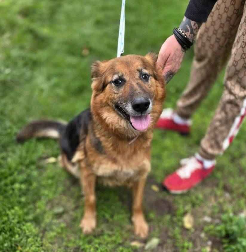 RAJA bardzo prosi o dom Bemowo - zdjęcie 2