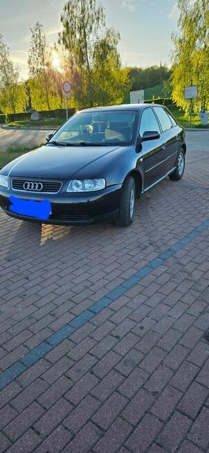 Sprzedam Audi A3 8l 1.9tdi 2003r 101k Pelplin - zdjęcie 1