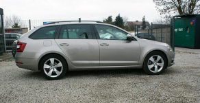 Škoda Octavia Ostrów Wielkopolski - zdjęcie 3