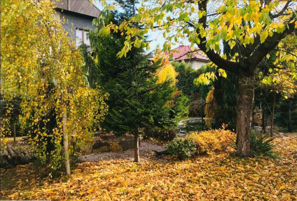 5pok, 250met, oś. Sienkiewicza PIWNICA/OGRÓD/GARAŻ (Legnica) Legnica - zdjęcie 10