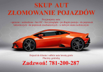 Auto Skup aut za gotówkę, złomowanie pojazdów Łódź, Zgierz, Pabianice Śródmieście - zdjęcie 1