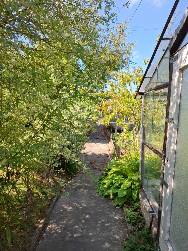 Działka ROD, ul Warzywna Pabianice - zdjęcie 8