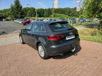 Audi A3 1,6 tdi Sportback 110KM z bardzo niskim przebiegiem 127 tyskm! Cielcza - zdjęcie 5