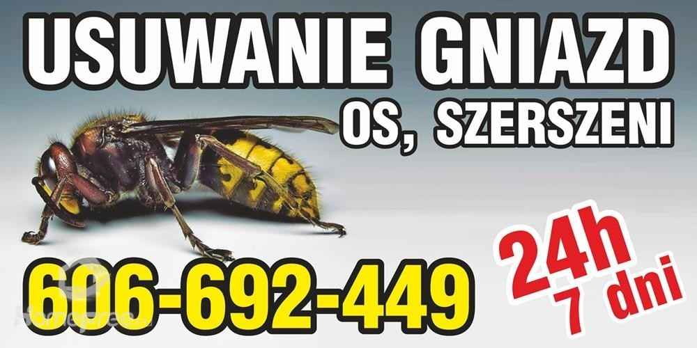 OSY SZERSZENIE - likwidacja gniazd os, szerszeni - 24/7 ŚLĄSKIE Ruda Śląska - zdjęcie 1