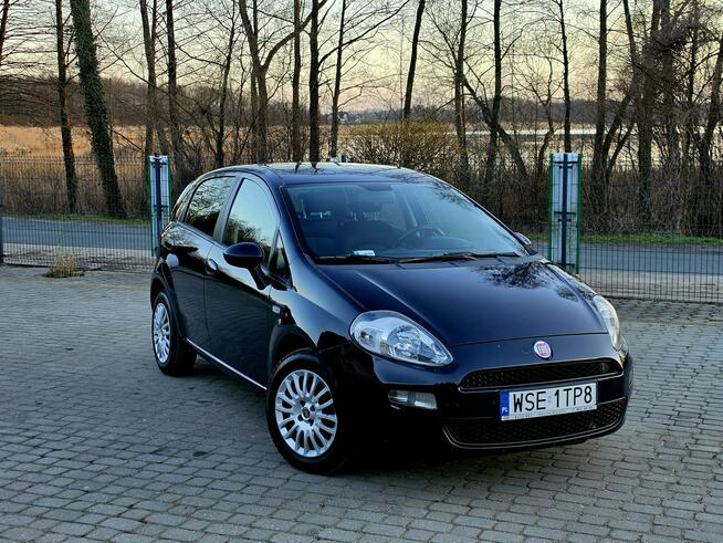Fiat Punto Evo 1.4 8V Benzyna / Salon PL I-właściciel / 5 drzwiowy Skępe - zdjęcie 9