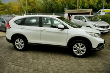 Honda CR-V 1,6iDTEC City Runner, kamera, 120KM, 2014r. Płock - zdjęcie 3