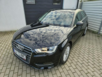 Audi A3 2.0 TDI 150KM quattro BEZWYPADEK 5 drzwi ZADBANY BDB stan Gdynia - zdjęcie 10