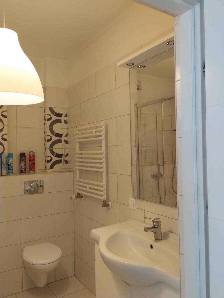 Wynajmę kawalerkę/30m2 Aleksandrów Łódzki - zdjęcie 7