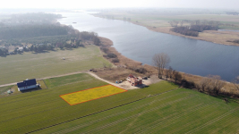 UROKLIWA DZIAŁKA BLISKO JEZIORA! Strykowo - zdjęcie 4