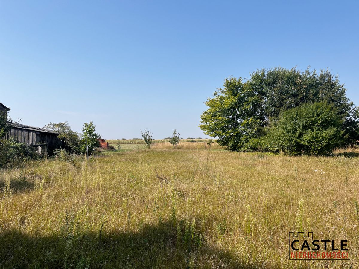 Działka w Dusznikach-miejsce dla Twojej Rodziny Duszniki - zdjęcie 1