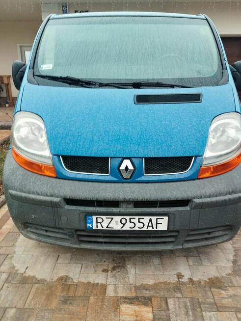 Reno Trafik Krasne - zdjęcie 2