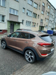 Hyundai tucson 1.6 t-gdi 177km 4x4 Ostrołęka - zdjęcie 6