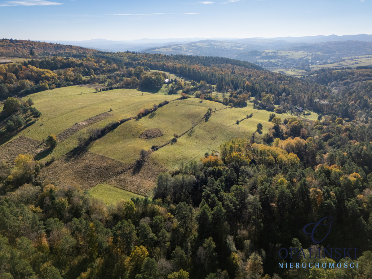 1,97 ha | Malownicza okolica | Okolice Arłamowa Gruszowa - zdjęcie 9