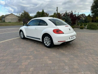 Volkswagen Beetle Lipówki - zdjęcie 8