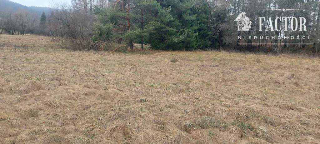 Działka budowlana 10 a – Hańczowa, gm. Uście Gorlickie 1181S/2026 Hańczowa - zdjęcie 2