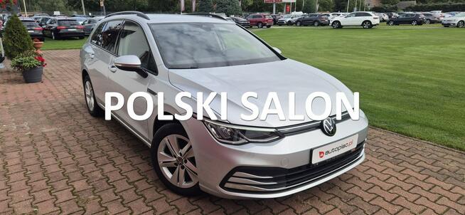 Volkswagen Golf SALON POLSKA Paproć - zdjęcie 1