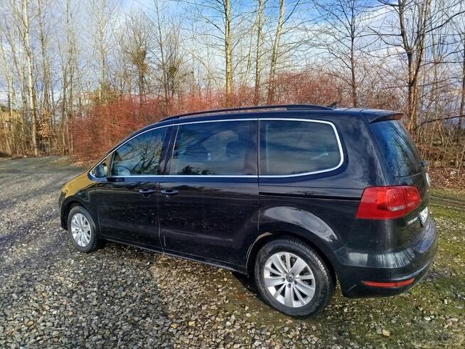 Sprzedam Sharana Zamarski - zdjęcie 2