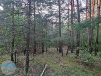 Piękna działka w cichej okolicy.