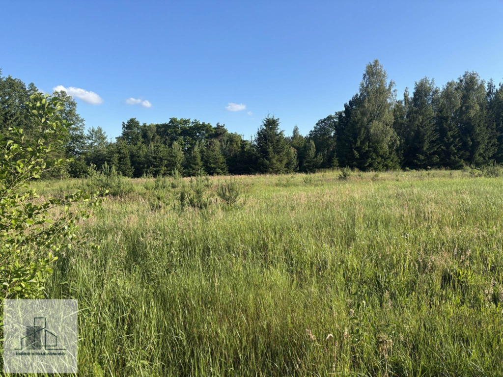 4 DZIAŁKI OBOK SIEBIE(2 BUDOWLANE, 2 ROLNE) Kątne - zdjęcie 3