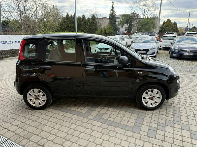 Fiat Panda 1,2 69KM  Klimatyzacja Orzech - zdjęcie 5