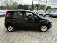 Fiat Panda 1,2 69KM  Klimatyzacja Orzech - zdjęcie 5