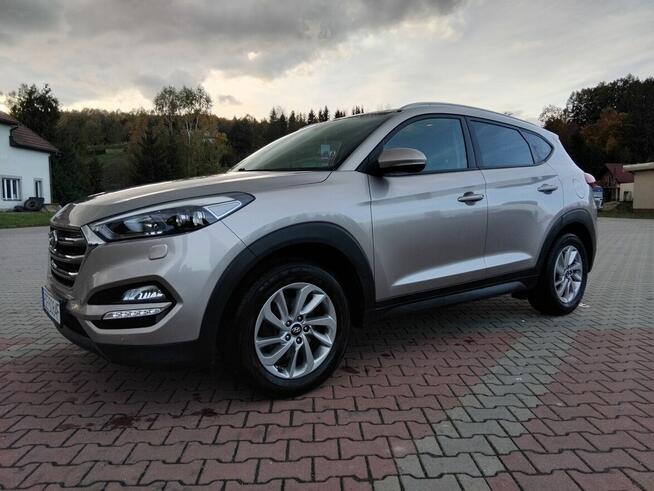 HYUNDAI Rzeszów - zdjęcie 12