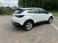 Opel Grandland X Lipówki - zdjęcie 9