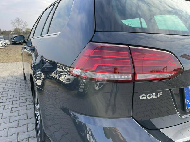 Volkswagen Golf Jak nowy, 100% Oryginał !! Gniezno - zdjęcie 6