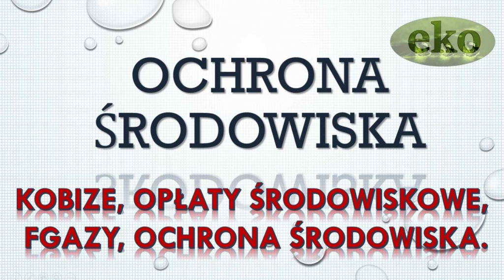 Wykonanie raportu do Kobize, tel. 502-032-782. Raport do kobize, cena Psie Pole - zdjęcie 3