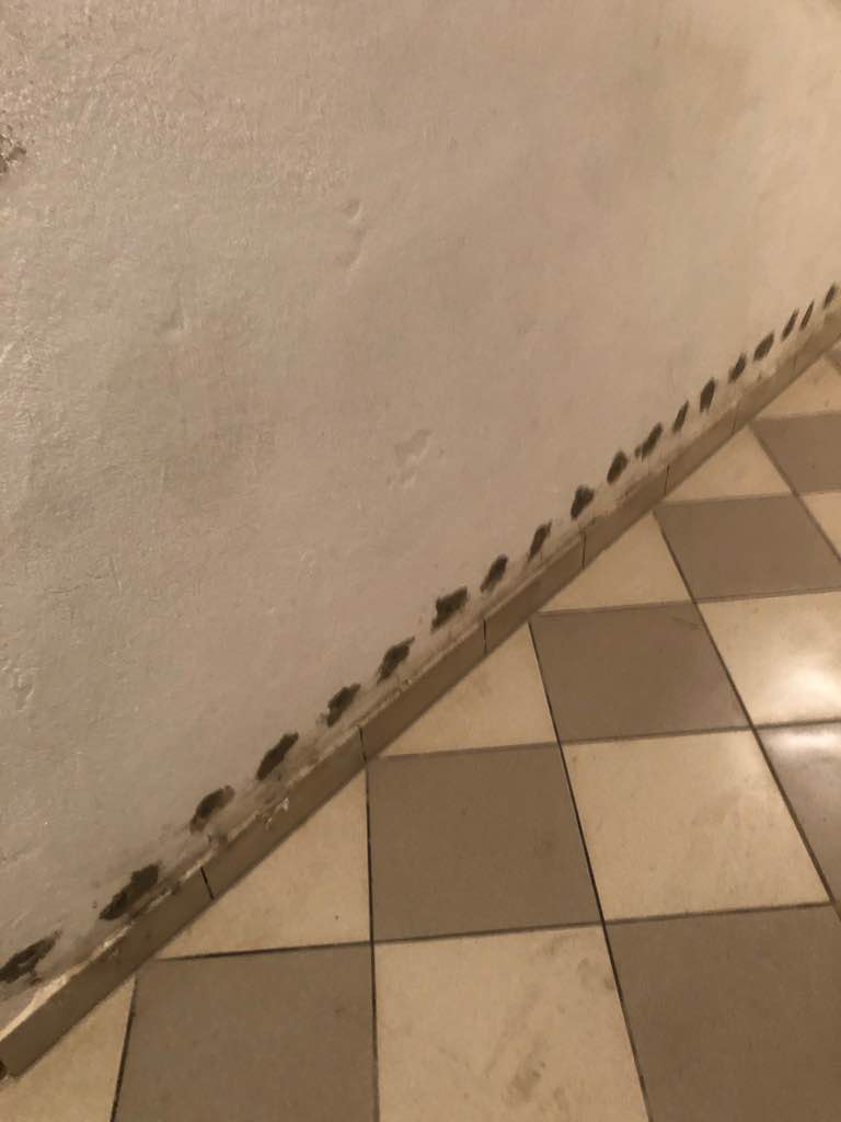 iniekcja krystalicza podciaganie kapilarne wilgotne sciany Cała Polska Gdańsk - zdjęcie 1