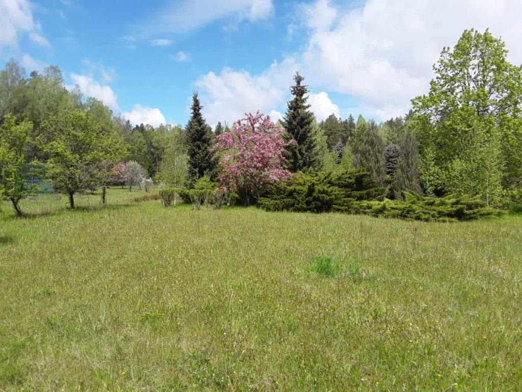 Działka budowlana Słójka Słójka - zdjęcie 1