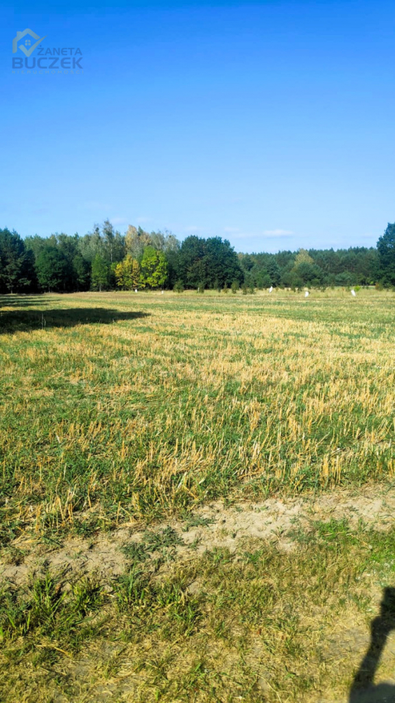 Sprzedam działkę budowlaną w Lasocinie Lasocin - zdjęcie 8