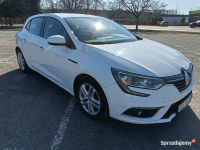 Renault Megane 4 1.5 dci Dębica - zdjęcie 3