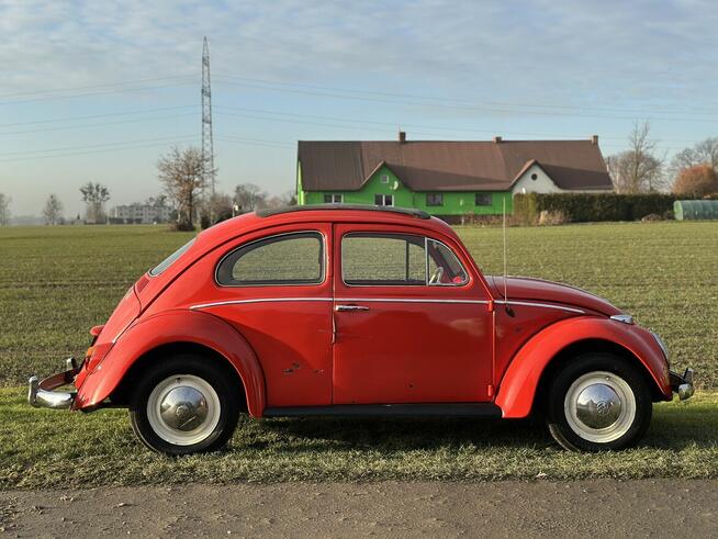 VW Volkswagen Garbus dziadek 1959 rok. Zarejestrowany w PL Pszczyna - zdjęcie 5