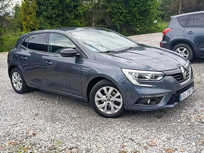 Renault Megane 1,3 Kamera, Nawigacja ,Serwis ,bdb stan Dulowa - zdjęcie 8