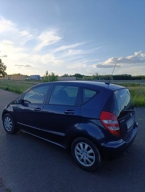 Sprzedam Turek - zdjęcie 1