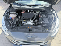 Ford Focus ecoblue Zielona Łąka - zdjęcie 10