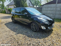 Renault Scenic 1.6 dCi Bose Koryta - zdjęcie 4