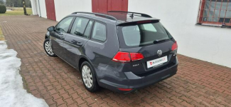 Volkswagen Golf Paproć - zdjęcie 5