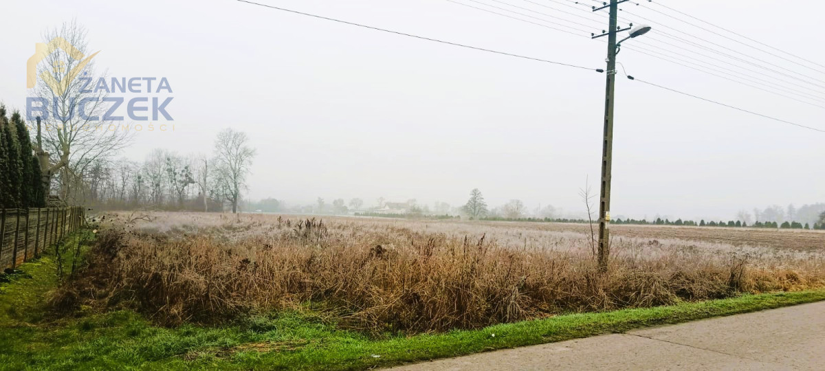 Sprzedam działkę w Antoniewie Żdżarowym Antoniew - zdjęcie 3