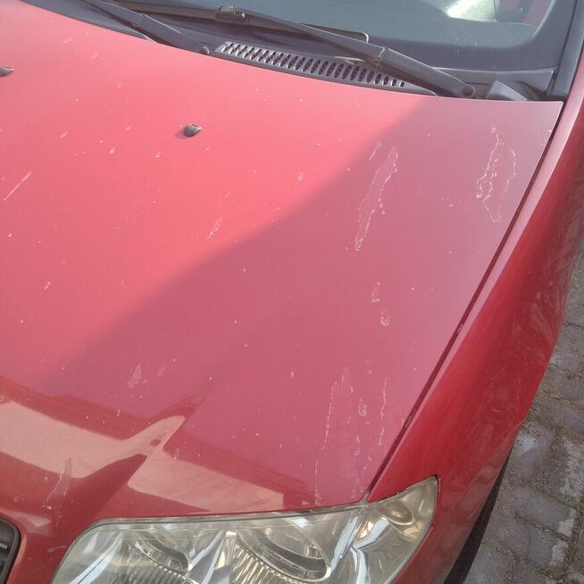 sprzedam Kostrzyn - zdjęcie 1