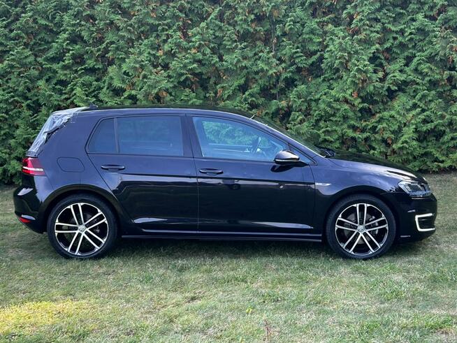 Volkswagen Golf #Xenon #GTE #DSG Laskowo - zdjęcie 2