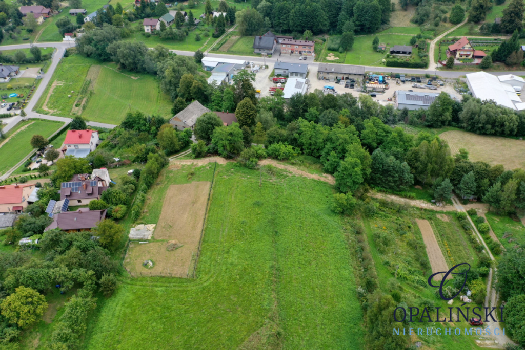 Działka budowlana 21ar z warunkami zabudowy na dom Błędowa Tyczyńska - zdjęcie 5